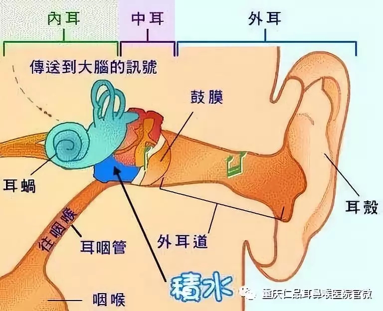 在重庆治疗慢性中耳炎哪家医院好