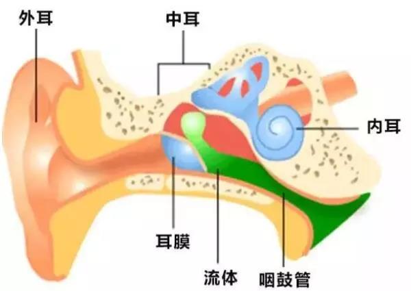 中耳炎为什么要用滴鼻剂