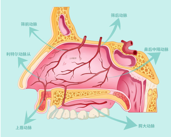 重庆治疗鼻出血靠谱的医院