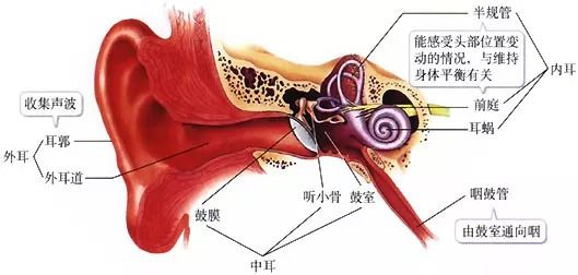 耳痛