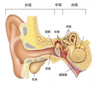 重庆耳鼻喉医院排名
