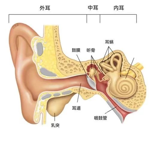 中耳炎