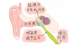 重庆耳鼻喉医院排名